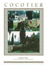 Trees for Television