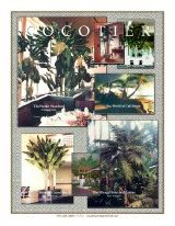 Cocotier International