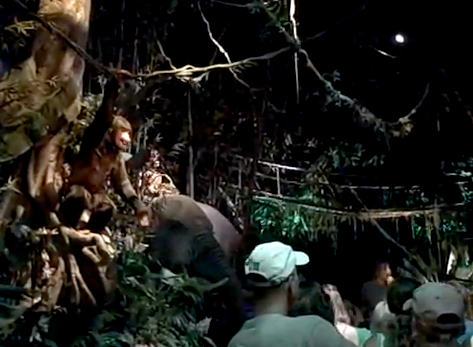"Tarzans Jungle" Disney MGM Studios